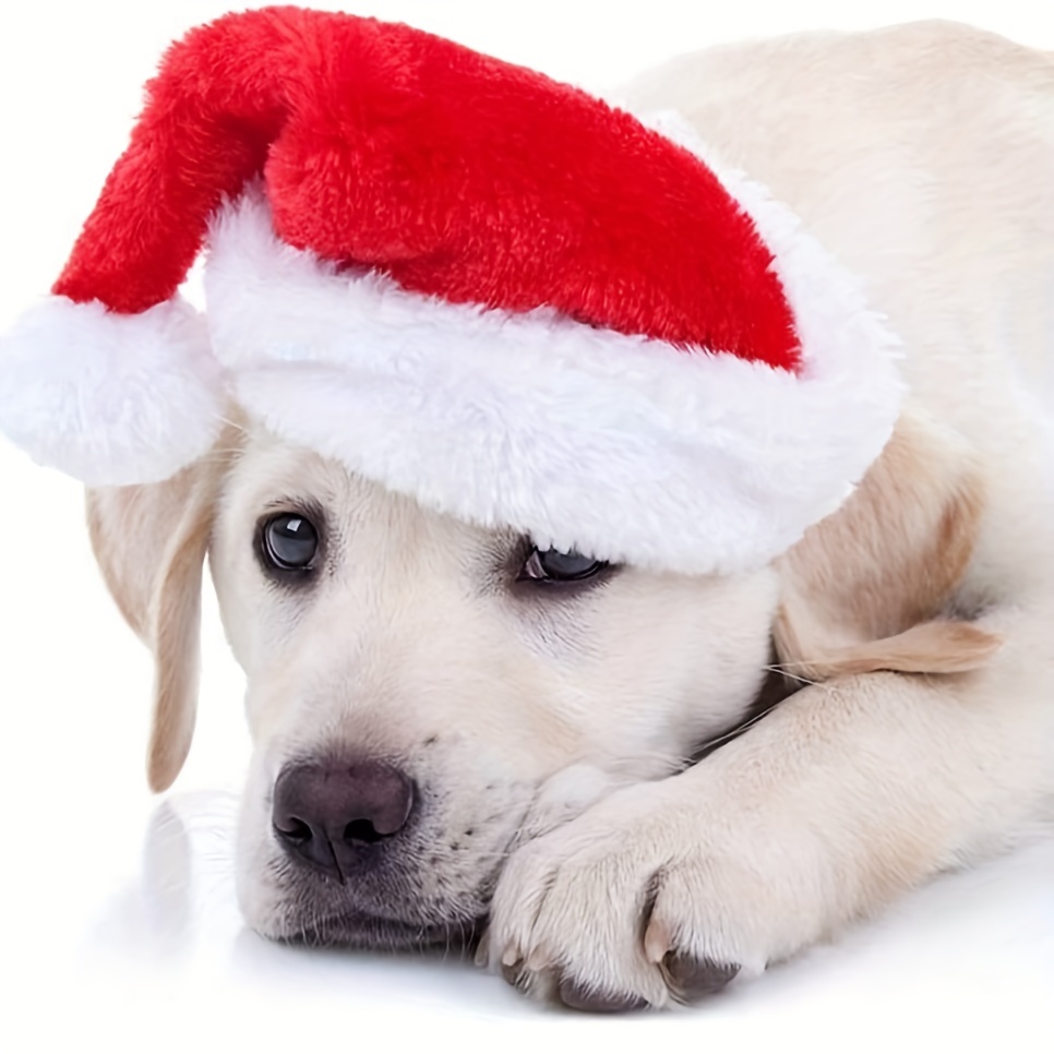 1-10個入り 高級ソフトプラッシュ クリスマスペット帽子  - Santa Hat Plush のレビューと価格