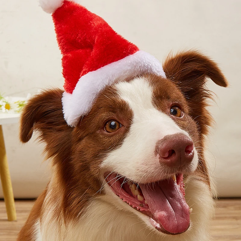 1-10個入り 高級ソフトプラッシュ クリスマスペット帽子  - Santa Hat Plush のレビューと価格